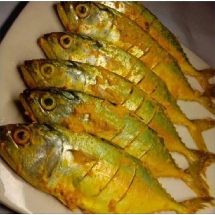 Ikan Laut Marinasi Barokah